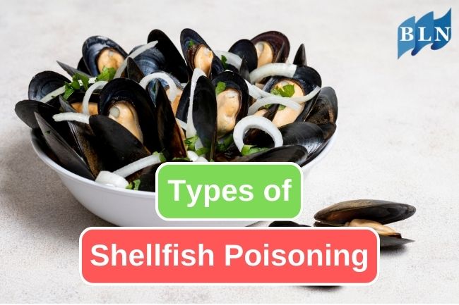 You Should Be Careful Of These 4 Types Of Shellfish Poisoning